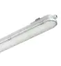 Philips LED Feuchtraumleuchte CoreLine WT120C G2 66W 8000lm - 840  | 150cm - 3 Stunden Notbeleuchtung