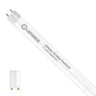 Ledvance LED Röhre T8 Value (EM/Mains) Standard Output 11.6W 1400lm - 865  | 105cm - Ersatz für 38W