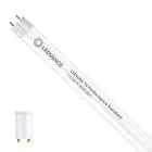 Ledvance LED Röhre 120cm | 6500K 13.5W - Performance