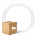 Lot 10x Ledvance Tube LED T9 Value Circulaire (EM/Direct 230V) 18.3W 2200lm - 840 Blanc Froid | Équivalent 32W Lot 10x Ledvance Tube LED T9 Value Circulaire (EM/Direct 230V) 18.3W 2200lm - 840 Blanc Froid | Équivalent 32W