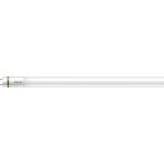 Philips MASTER LED Tube T8 (EM/Direct 230V) Ultra Efficiency 17.6W 3700lm - 865 Lumière Du Jour | 150cm - Équivalent 58W Philips MASTER LED Tube T8 (EM/Direct 230V) Ultra Efficiency 17.6W 3700lm - 865 Lumière Du Jour | 150cm - Équivalent 58W