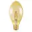 Ledvance Vintage 1906 LED E27 Boule Dorée 4W 470lm - 824- | Remplacement 40W