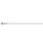 Philips MASTER LEDtube T8 (EM/Direct 230V) Ultra Efficiency 11.9W 2500lm - 865  | 120cm - Remplacement 36W