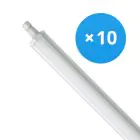 Lot 10x Philips Réglette LED Étanche Ledinaire WT060C 30W 3600lm - 840  | 120cm